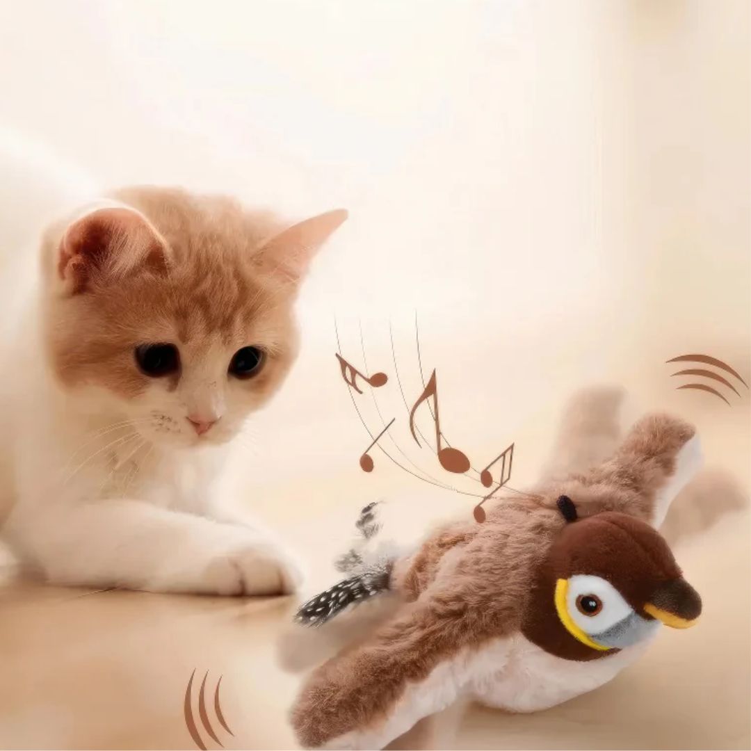 FlappyCat™ | Het fladderende vriendje voor jouw lieve kat!
