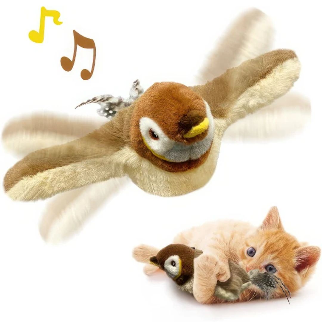FlappyCat™ | Het fladderende vriendje voor jouw lieve kat!